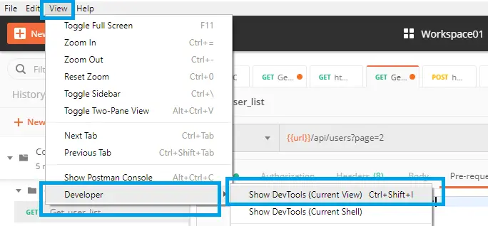 postman-developer-options
