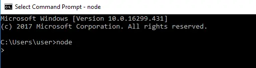 nodejs-successful-installtion-protractor