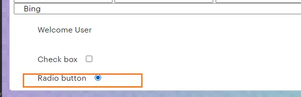 handle-radio-button-checked-puppeteer