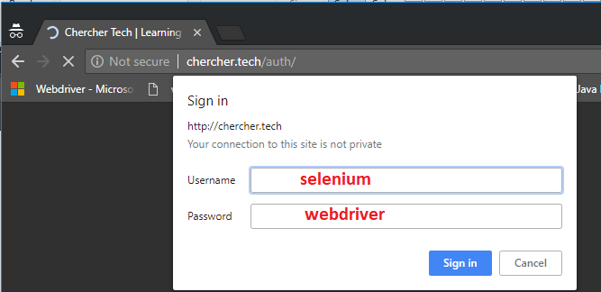 authentication-pop-up-selenium-webdriver authentication-pop-up-selenium-webdriver